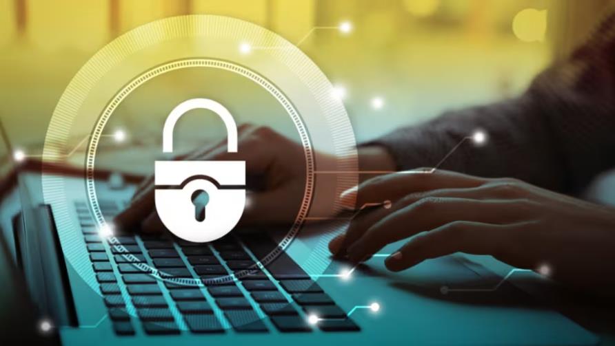 软件开发公司